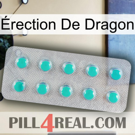 Érection De Dragon 28